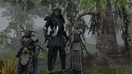 Elder Scrolls Online, The - Новости и петиция